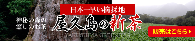 屋久島の新茶 ネット販売